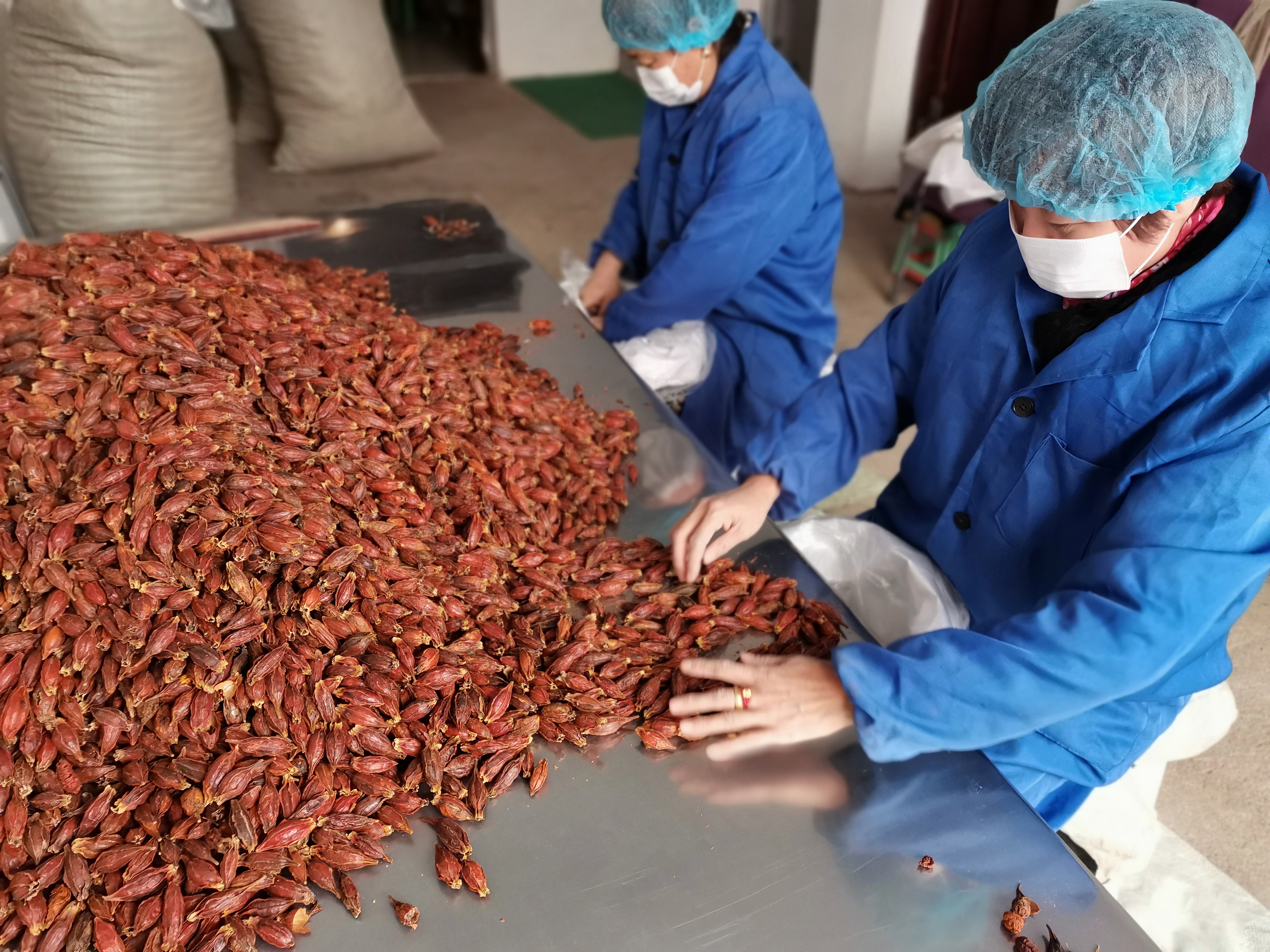 Fructus Gardeniae Fruit Supplier Fructus Gardeniae Поставщик фруктов