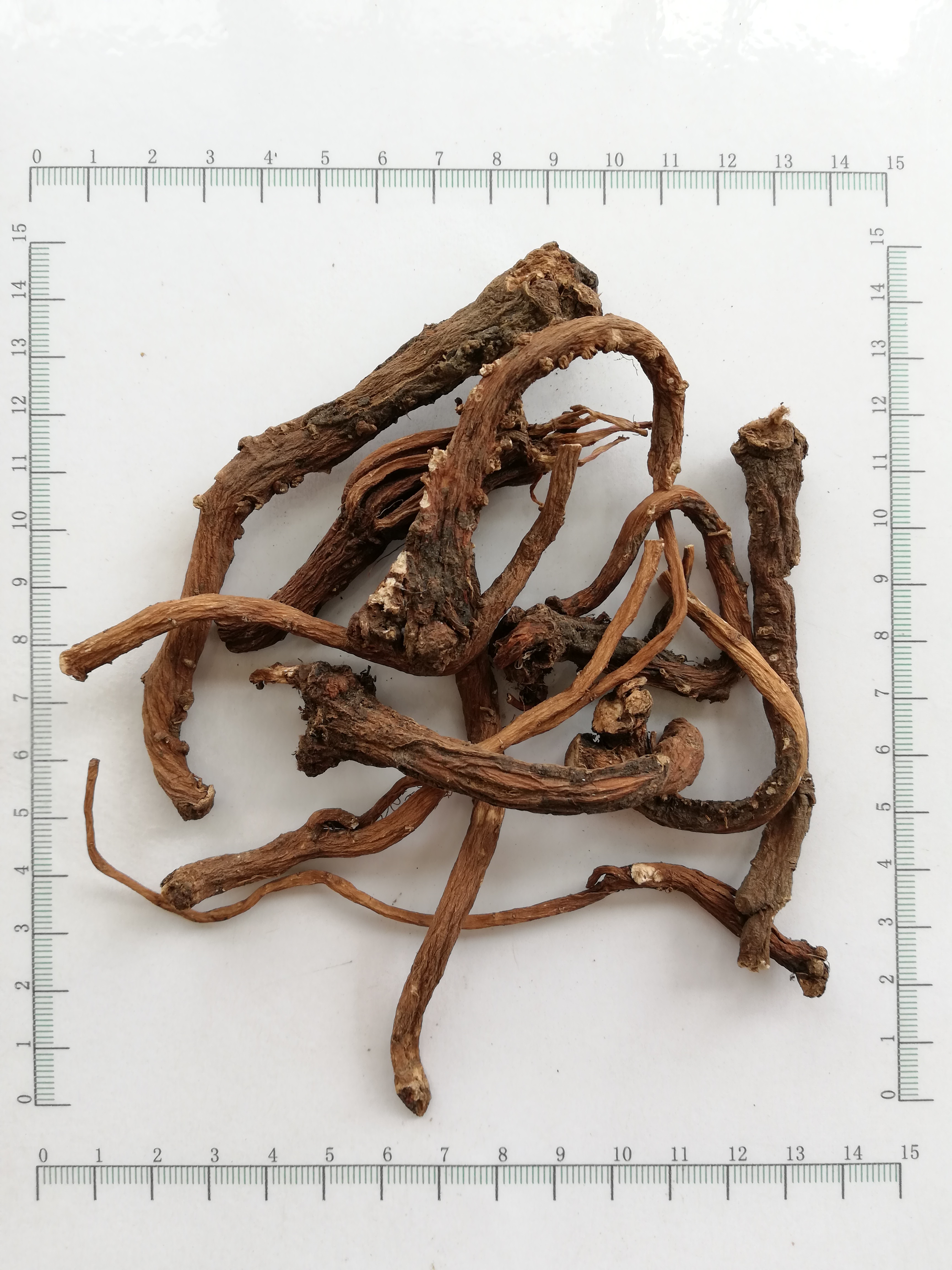 Dandelion Root Корень одуванчика