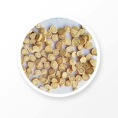 Органический корень астрагала