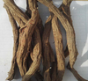Порошок корня Salvia Miltiorrhiza