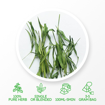 Бамбуковый лист 