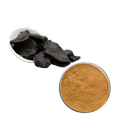 Экстракт корня фоти 