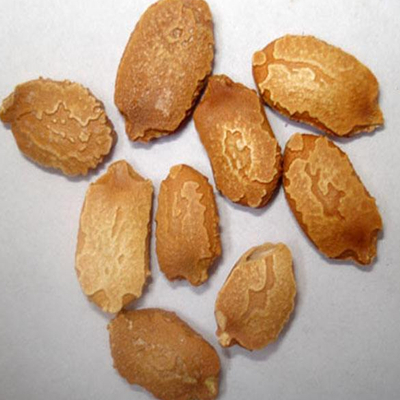 Семена горькой тыквы 