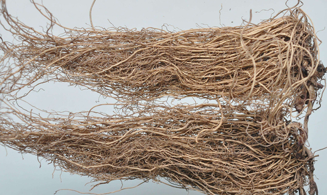 Азари Радикс