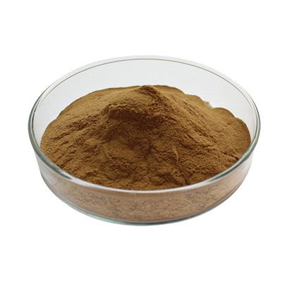 Экстракт гриба Glucan Grifola Frondosa