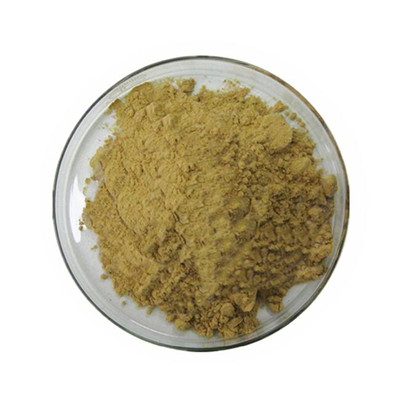 Экстракт розмарина