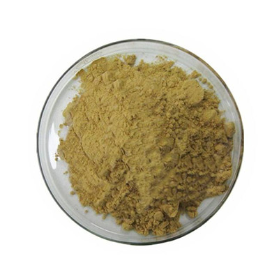 Экстракт розмарина