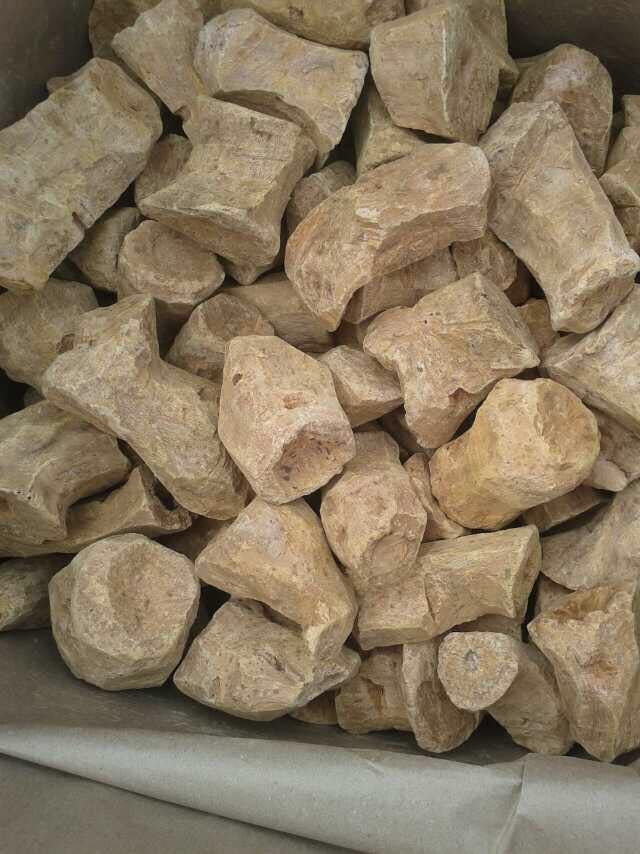 Порошок корня ревеня