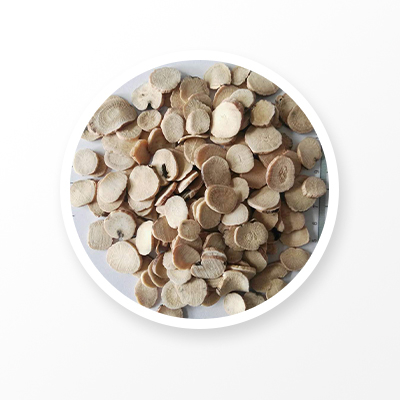 Корень белого пиона