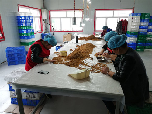 Органический красный финик