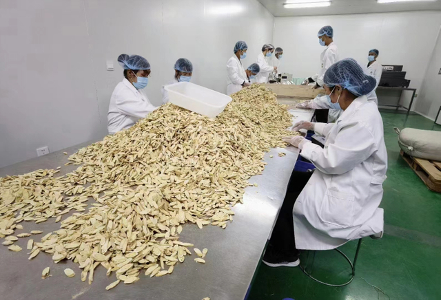 Корень астрагала