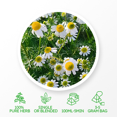 Ромашковый чай для похудения