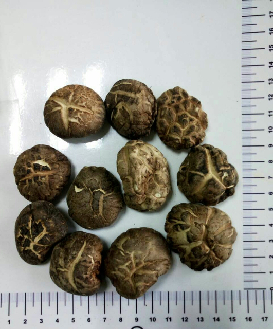 Экстракт органического гриба шиитаке 