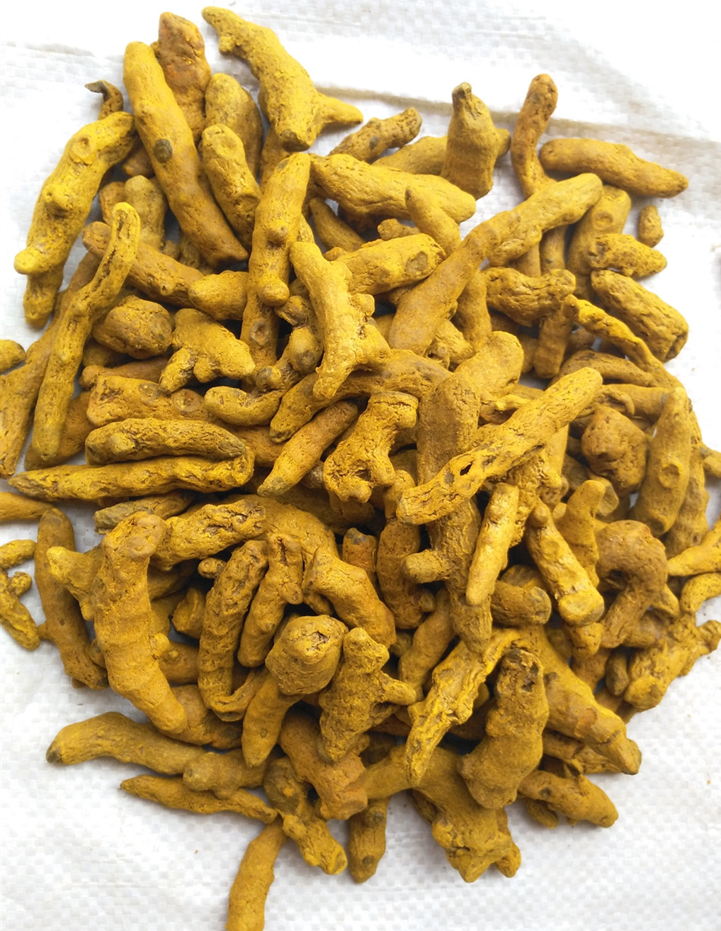 Корень куркумы 