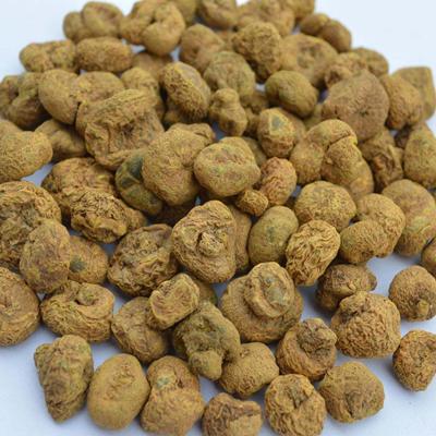 Коридалис Корень