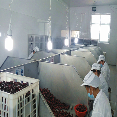 Органический красный финик
