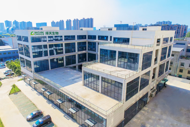 Рассыпной зеленый чай с цветком жасмина