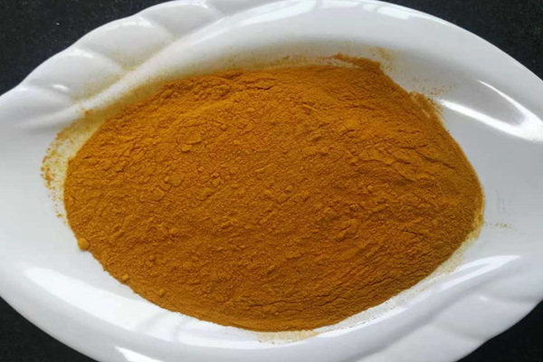 Порошок корня куркумы