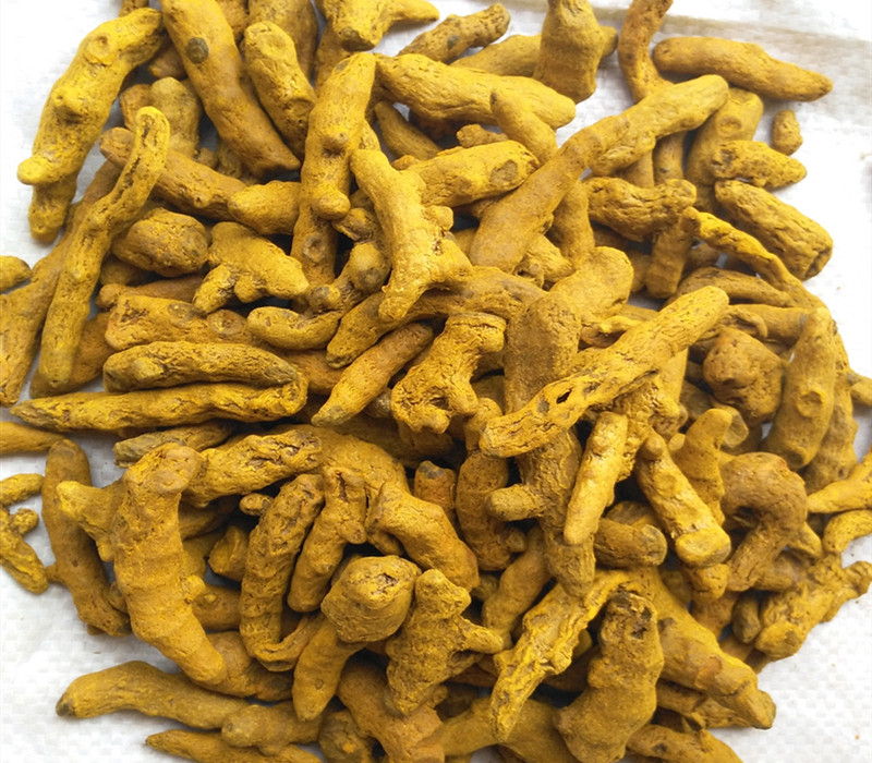 Порошок корня куркумы