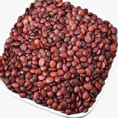 Семен Зизифи Спиноза