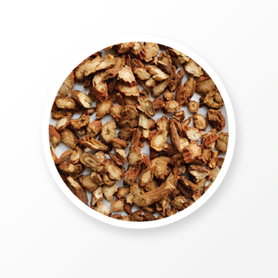 Порошок корня Salvia Miltiorrhiza