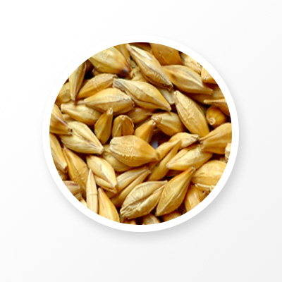 Ячменный порошок