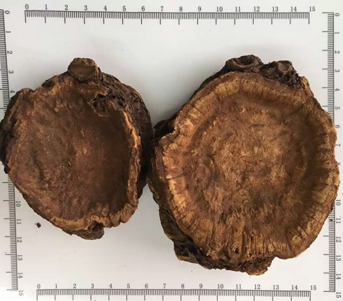 Порошок корня ревеня