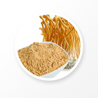 Экстракт кордицепса 