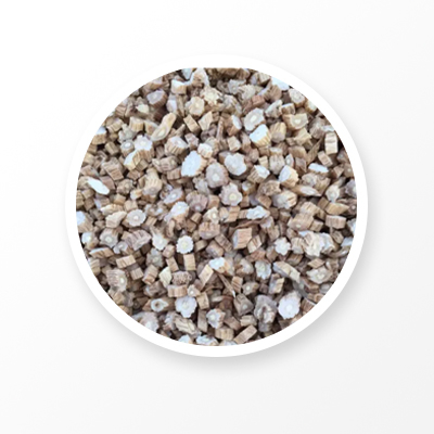 Корень кодонопсиса