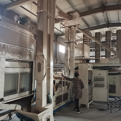 Чай для похудения с семенами кассии