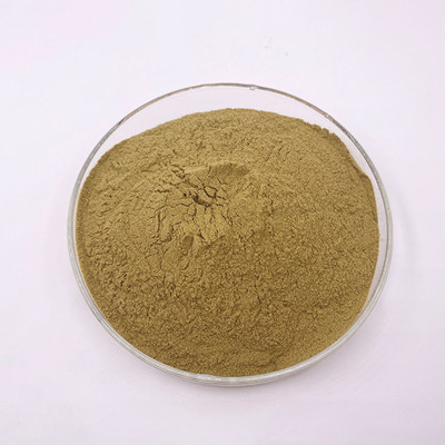 Экстракт золотарника обыкновенного 