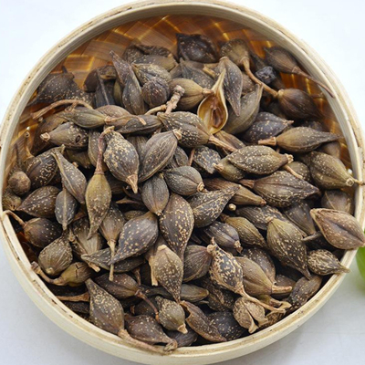 Фрукты Форзиции