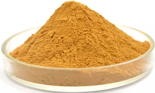 Порошок корня ревеня