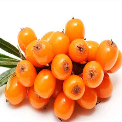 Сублимированный порошок облепихи