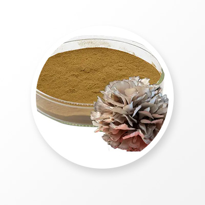 Экстракт гриба Glucan Grifola Frondosa